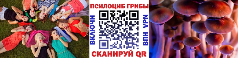 Псилоцибиновые грибы Magic Shrooms  даркнет сайт  omg ТОР  Славянск-на-Кубани 